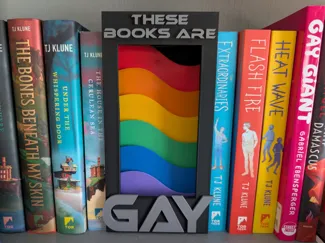These Books - Rainbow Flag Booknook