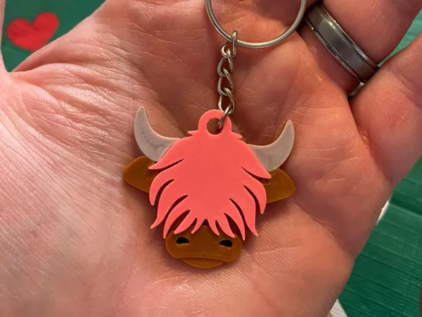 https://makerworld.bblmw.com/makerworld/model/US8f86222c3d78c0/design/2025-01-13_711eec094087c.jpg