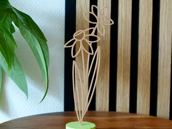 https://makerworld.bblmw.com/makerworld/model/US8f86ced98ae4c2/design/2025-09-15_2b9e74536ae12.jpg