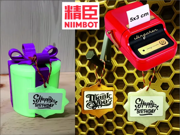 https://makerworld.bblmw.com/makerworld/model/US8f992e86fc1757/design/2024-12-15_215e3f7fce2818.jpg