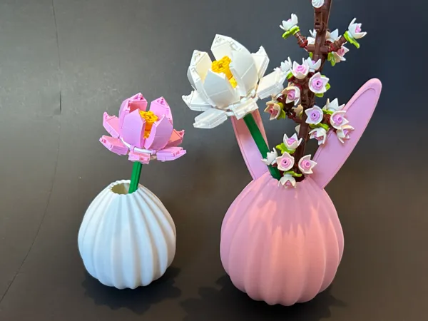 https://makerworld.bblmw.com/makerworld/model/US8f9999ef2996e3/design/2025-04-06_f9856c67244c88.jpeg