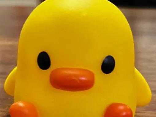 Adorable Chick