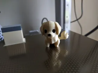 Cute Golden Retriever