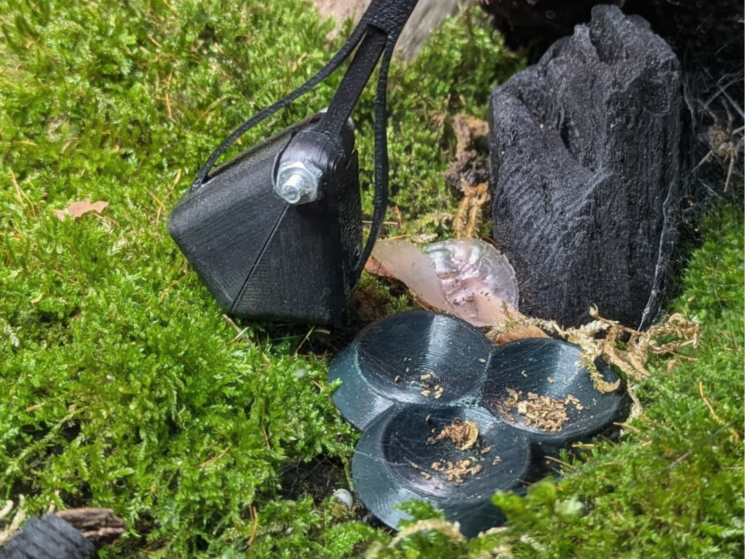 Automatic long spoon for isopods or small insects