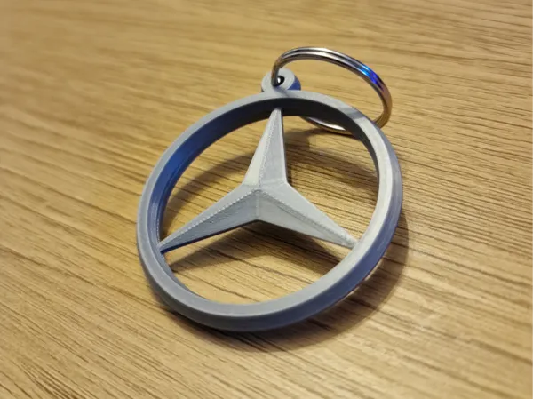 https://makerworld.bblmw.com/makerworld/model/US8fada0c418f283/design/2024-12-27_878c422a291b5.jpg