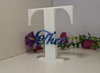 0.16mm layer, 2 walls, 15% infill