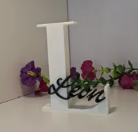 0.16mm layer, 2 walls, 15% infill