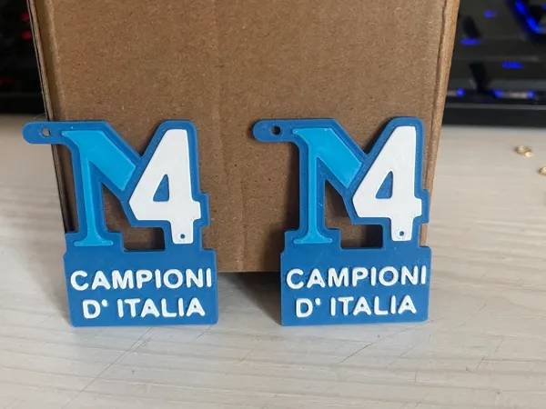 https://makerworld.bblmw.com/makerworld/model/US8fb3b50d37ea53/design/2025-05-22_833c1a32162cd8.jpeg