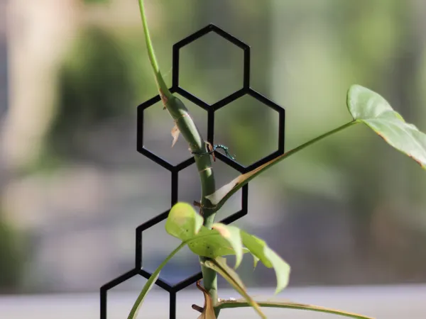 https://makerworld.bblmw.com/makerworld/model/US8fbad120d141f0/design/2025-05-14_1babf6f1f8d9.jpg