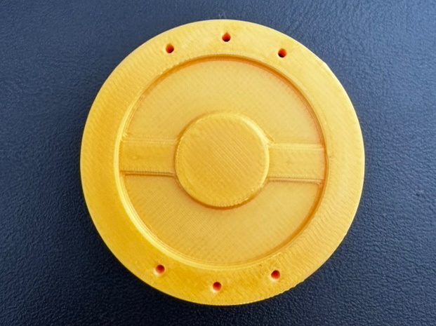 Pokopia Coin - Pokemon (< 1h Print)