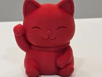 0.2mm layer, 3 walls, 5% infill