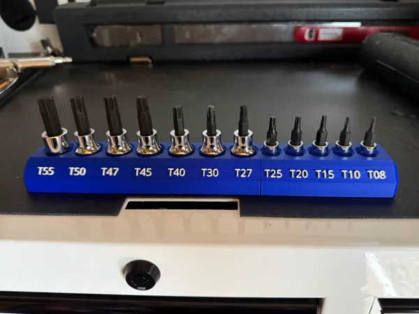 https://makerworld.bblmw.com/makerworld/model/US8fc2224539e1d2/design/c1c3f7ffaa7fd976.jpeg