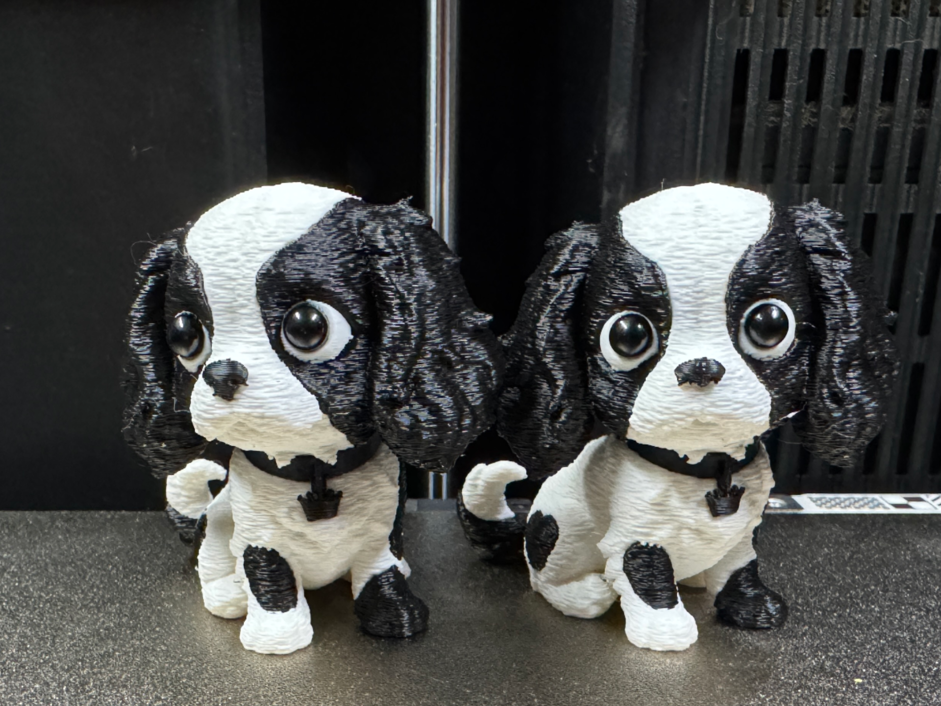 Adorable Cavalier King Charles Spaniel Dog