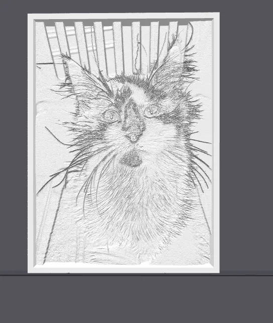 Cat Picture Light Lithophane