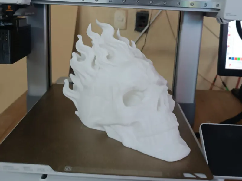 ghost rider Mask