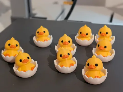 Cute Mini Hatching Duck