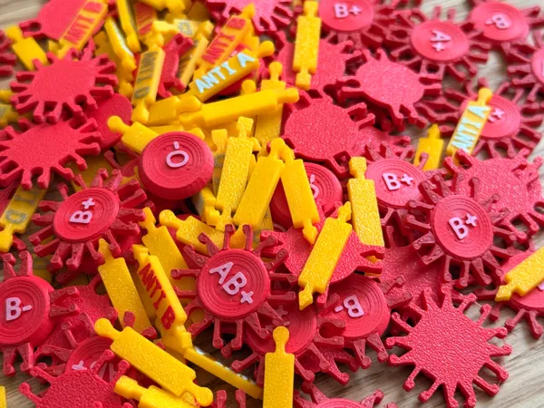 https://makerworld.bblmw.com/makerworld/model/US8fd9d4668bc7f6/design/2025-06-13_335bbbbb3ce64.jpg