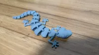 Lézard v1 — photo 4