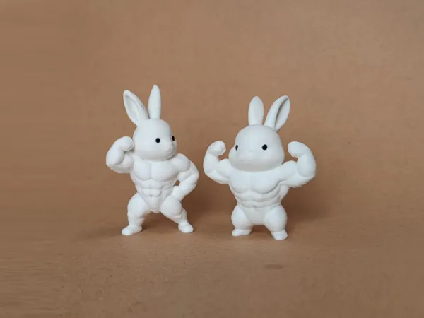 https://makerworld.bblmw.com/makerworld/model/US8fe031f956b462/design/2025-08-11_10d4f04f347cf.jpg