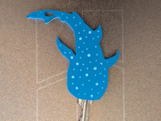 Whale Shark Key cover