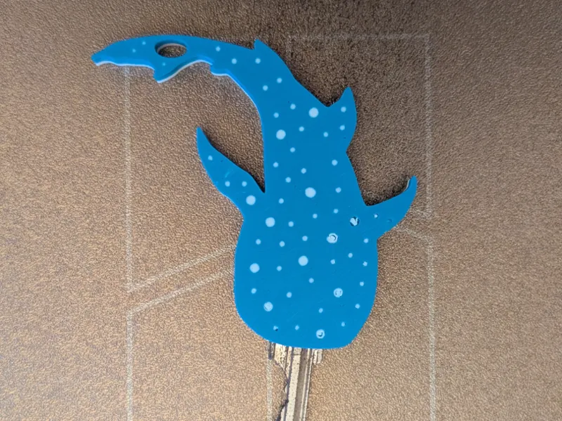 Whale Shark Key cover