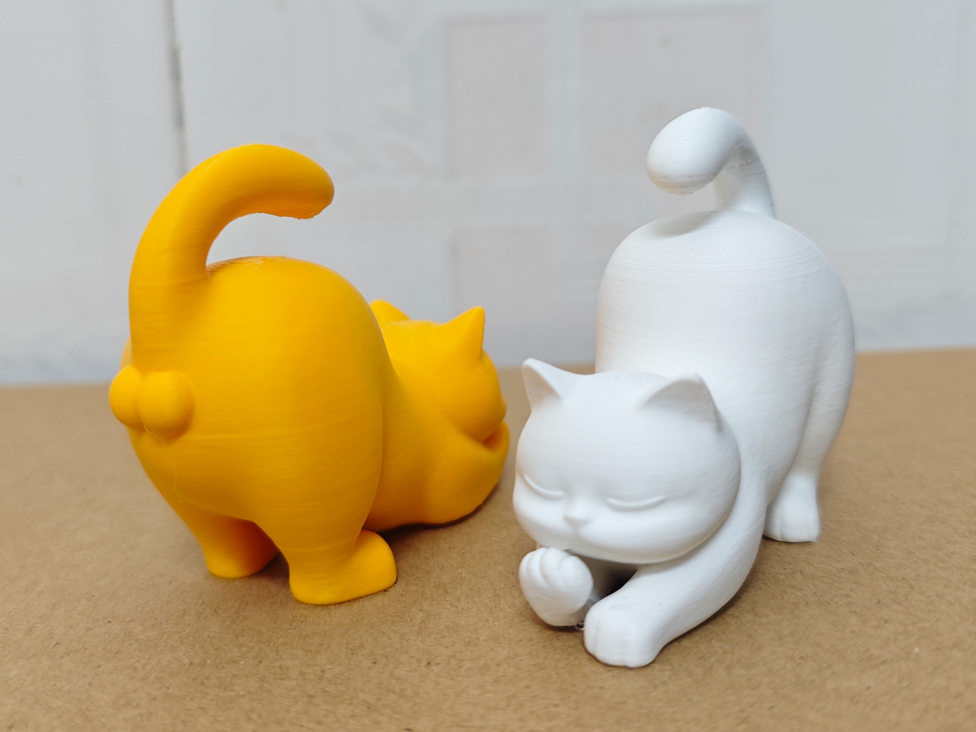 肥宅猫