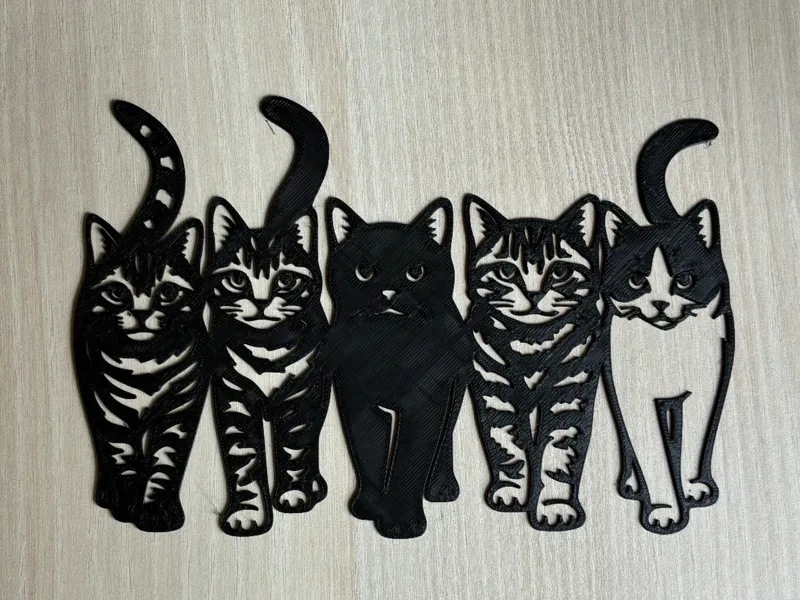 Cats