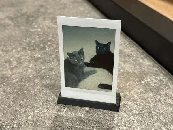 https://makerworld.bblmw.com/makerworld/model/US8fecd83e5bbd91/design/2025-07-26_36693ba36038d8.jpeg