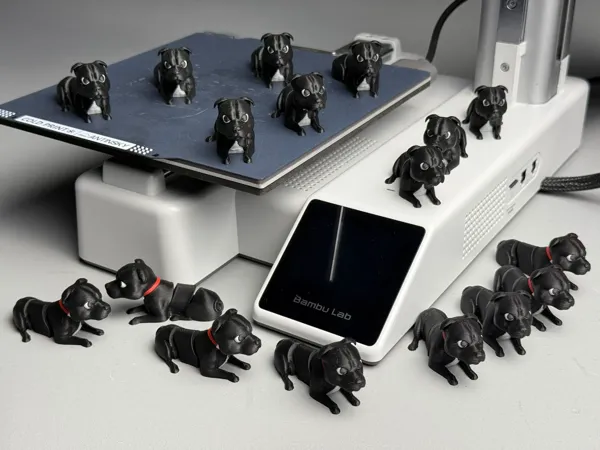 https://makerworld.bblmw.com/makerworld/model/US8fef8532dff3a5/design/2025-05-13_377bb1c0880598.jpg