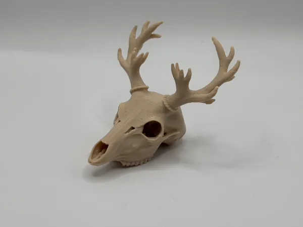 https://makerworld.bblmw.com/makerworld/model/US8ff1715a6a7b0c/design/2025-12-22_85256eaac572f8.jpg