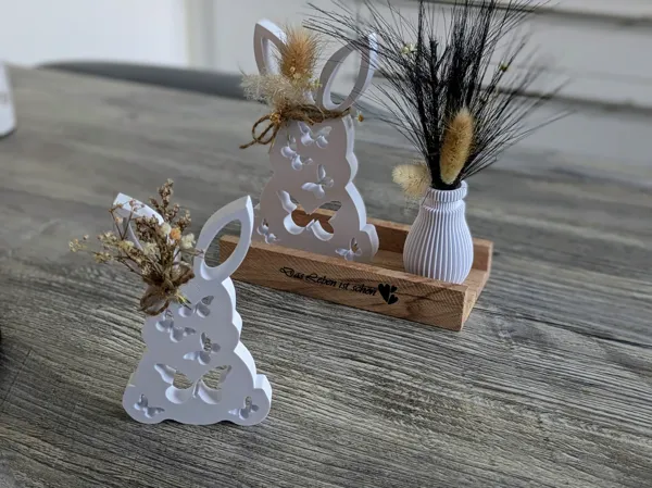 https://makerworld.bblmw.com/makerworld/model/US8ff4496f876861/design/2025-03-25_65b9ac9961fc8.jpg