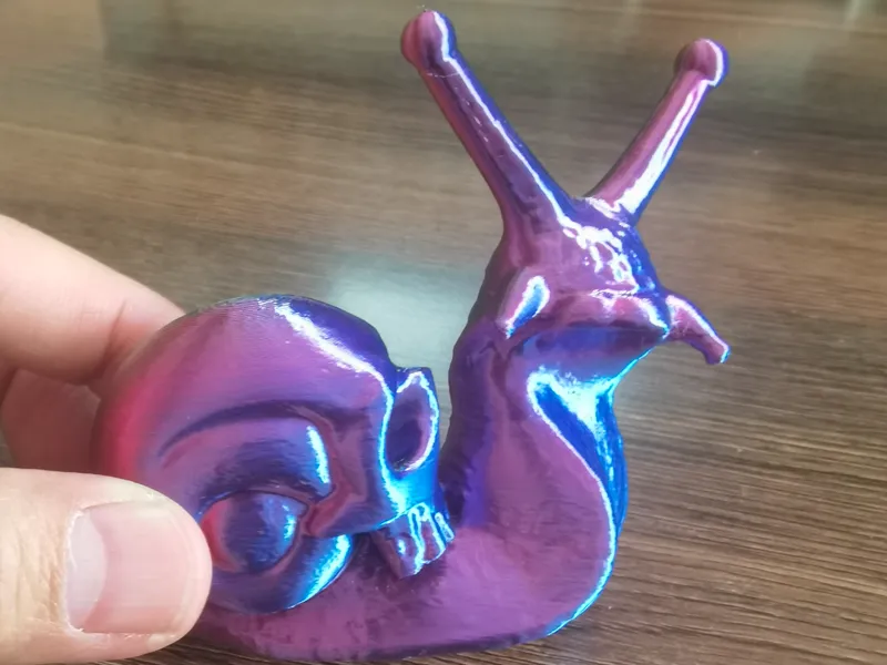 Snail with a Skull Head