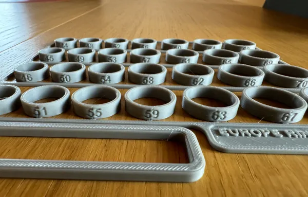 https://makerworld.bblmw.com/makerworld/model/US90075befddcae9/design/2024-03-07_e71c12b745cbe.png
