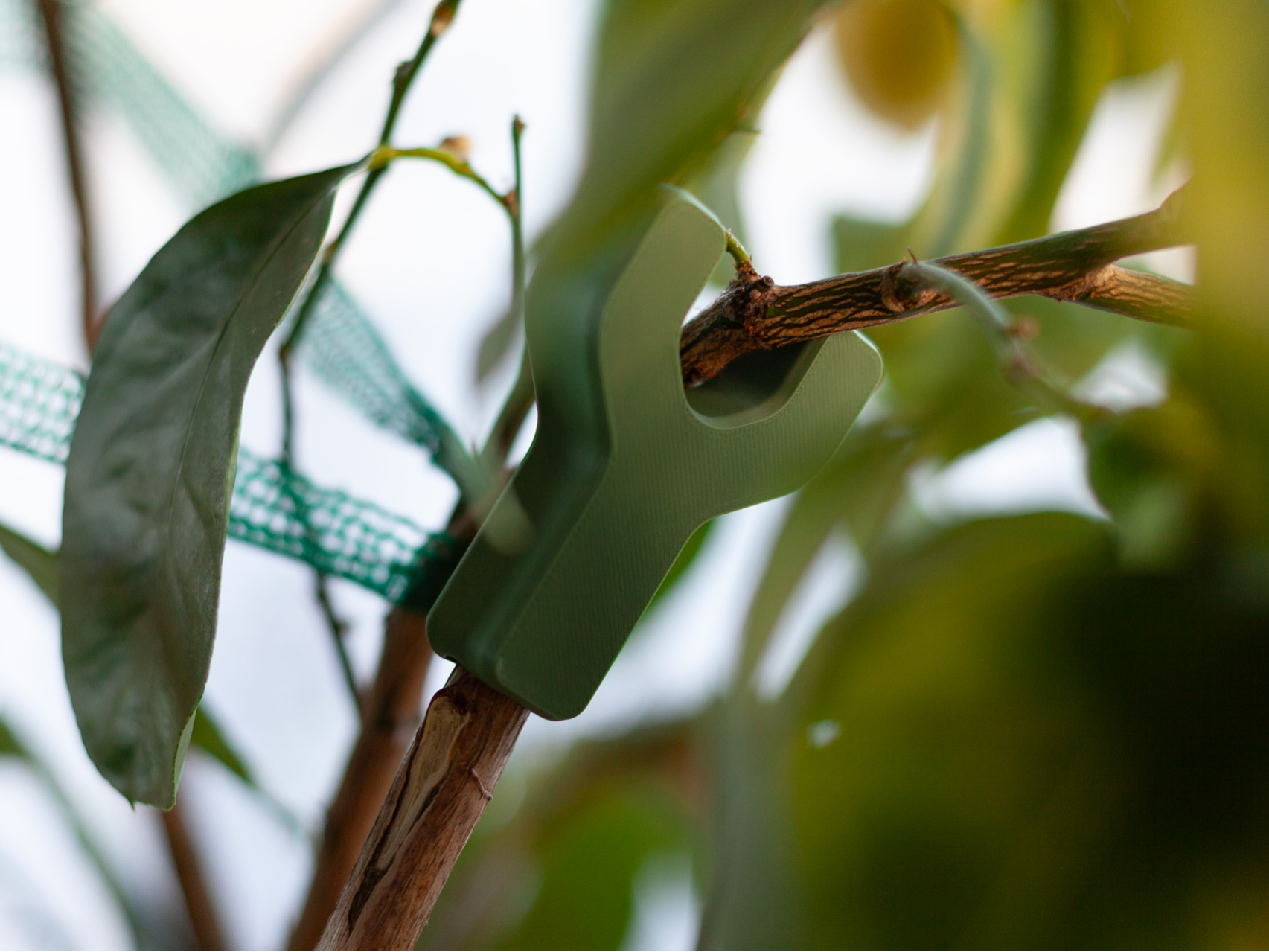 Garden Stem Support - heavy stems/branches holder
