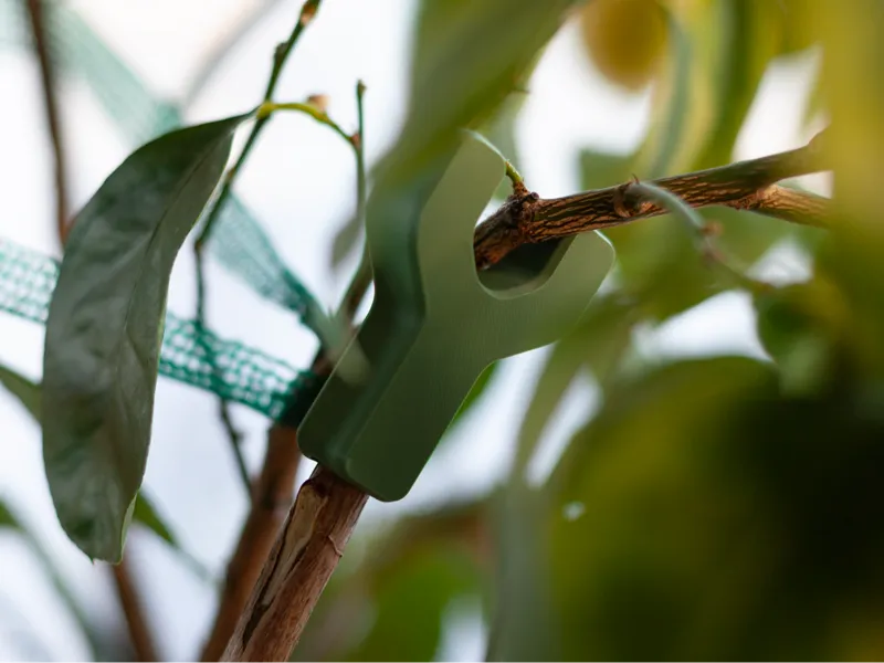 Garden Stem Support - heavy stems/branches holder