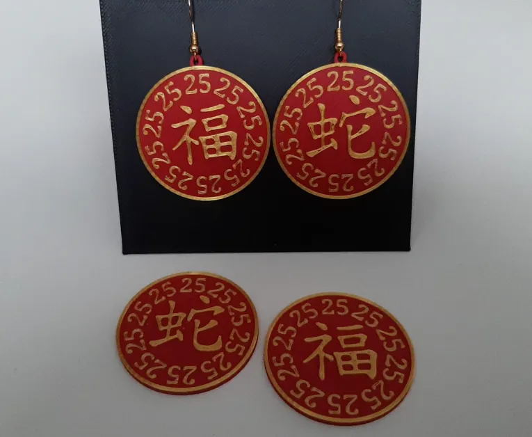 Chinese New Year 2025 Earrings and Coins view 2