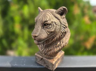 TIGER BUST