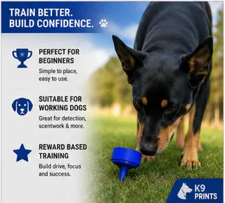 ძაღლის სურნელოვანი ვარჯიშის მიწის სამალავი thumbnail 4