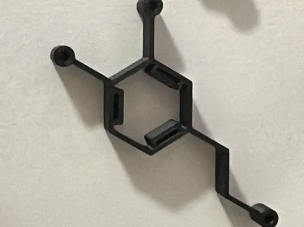 https://makerworld.bblmw.com/makerworld/model/US901c25e474e3e2/design/2025-08-09_dcce544a90348.jpeg