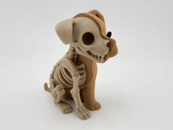 https://makerworld.bblmw.com/makerworld/model/US9020a146356940/design/199a29babe02eeb8.jpg