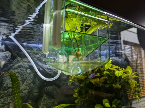 https://makerworld.bblmw.com/makerworld/model/US90231605a3eda8/design/2024-10-28_23860d34e87b2.jpg