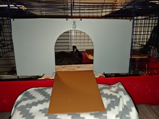 Rabit/Guinea pig Cage door with lock