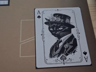 Sharp Dressed cat on card