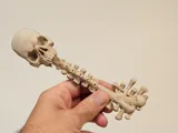 Декорация ключ с череп