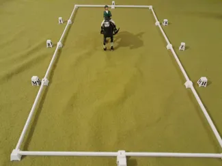 Dressage Arena