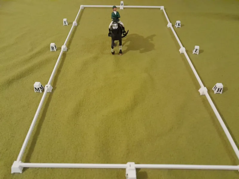 Dressage Arena