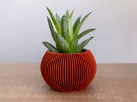 0.6mm nozzle, 0.3mm layer, 3 walls, 5% infill