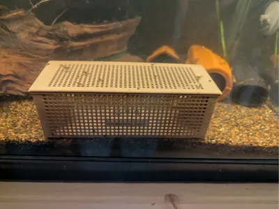 Shrimp/snail trap (lobster trap style)