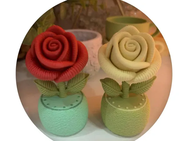 https://makerworld.bblmw.com/makerworld/model/US902fa96acfd508/design/2025-11-11_36377a1a73325.jpg