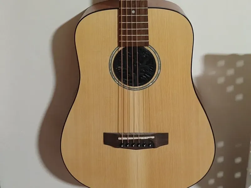 Acoustic Guitar Cort Earth Soundhole Cover 3/4